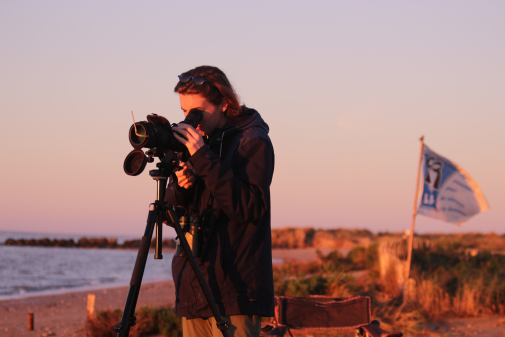 Birdlab : Lancement d'une thèse sur le nourrissage des oiseaux sauvages