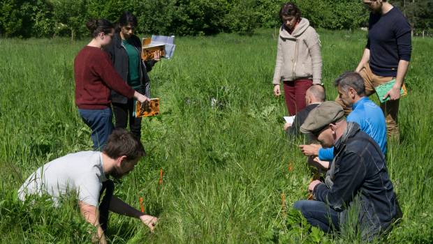 Sciences participatives : créer de "l'affect" en même temps que des données