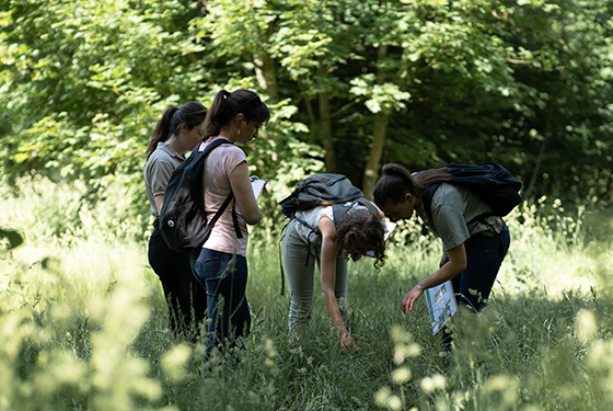 Optimiser les SPB pour une évaluation fine de la biodiversité