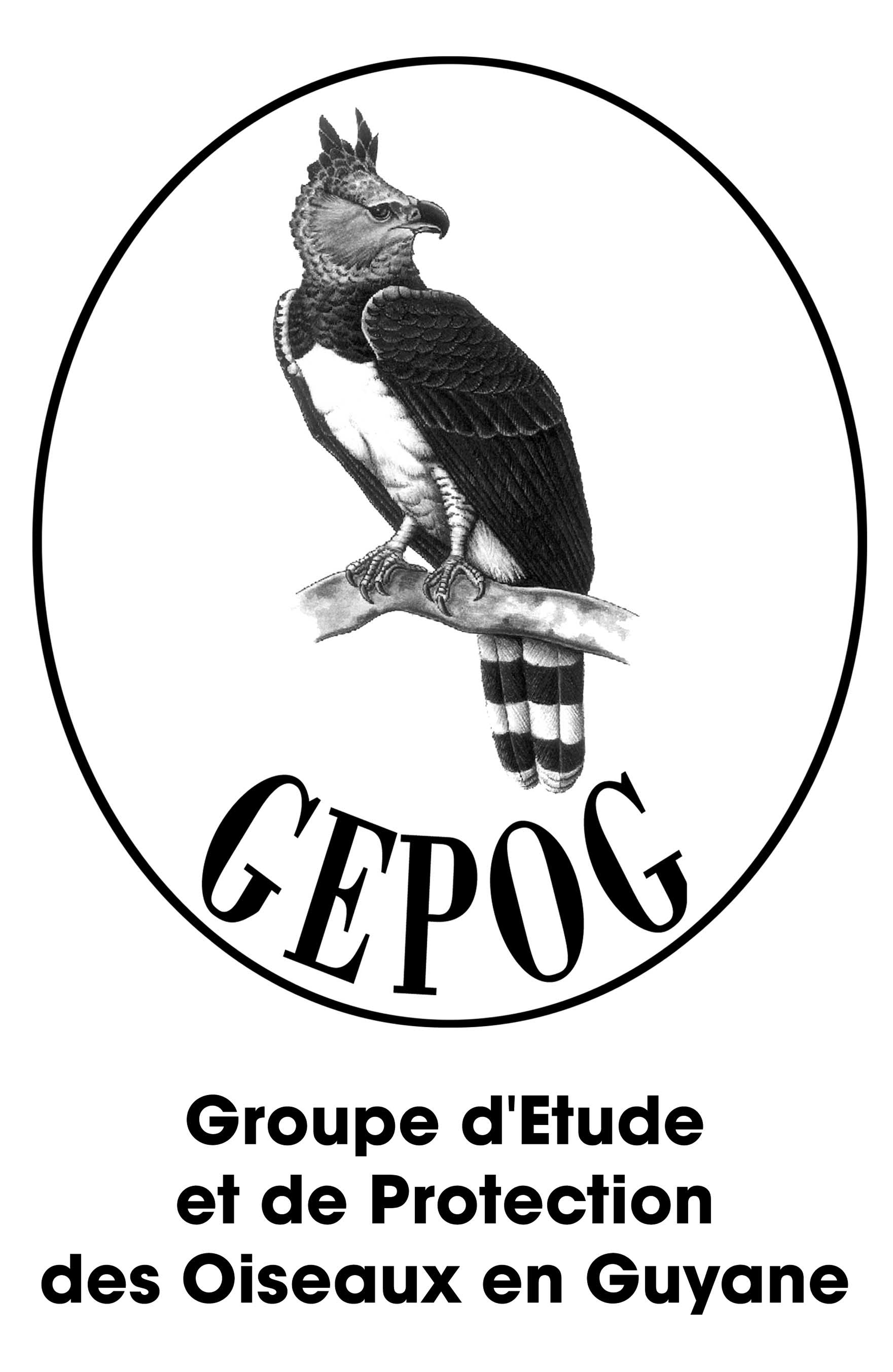 Groupe Detude Et De Protection Des Oiseaux En Guyane