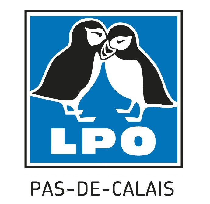 Les coccinelles – Groupe ornithologique et naturaliste du Nord –  Pas-de-Calais