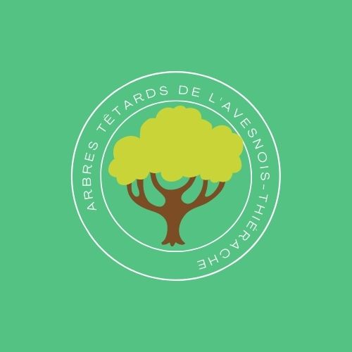 APA] Quiz sur les observatoires citoyens liés aux arbres – Tela Botanica